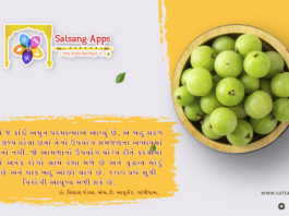 Advantage of Amla in Gujarati ayuvedic tips.