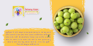 Advantage of Amla in Gujarati ayuvedic tips.